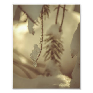 Winterliche Eis- und Schneewaldlandschaft in feine Fotodruck