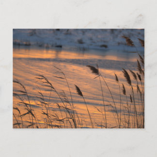 Winterliche gefrorene Wasserlandschaft Sonnenunter Postkarte