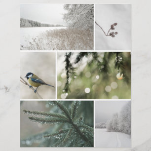 Winterliche Natur: Weihnachts-Scrapbook-Ausschneid