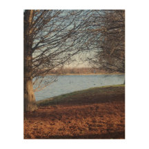 Winterliche Ruhe am See