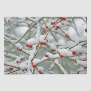Winterliche Zweige mit roten Beeren und Schnee Seidenpapier