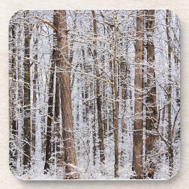 Winterlicher Eissturm im Wald Getränkeuntersetzer (Vorderseite)