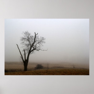 Winterlicher Nebelbaum auf einer Wiese Poster