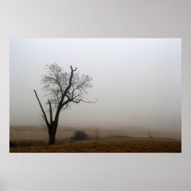 Winterlicher Nebelbaum auf einer Wiese Poster (Vorne)