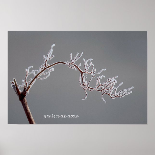 Winterlicher vereister Ast Poster (Vorne)