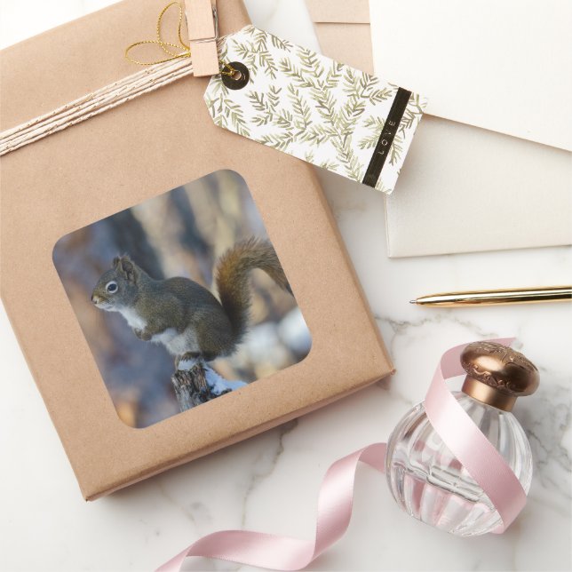 Winterliches Eichhörnchen auf Baumstumpf Quadratischer Aufkleber (Schenken)