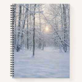 Winterliches Sonnenlicht im stillen Birkenwald Notizbuch