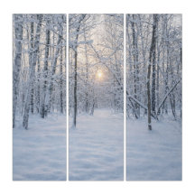 Winterliches Sonnenlicht im stillen Birkenwald
