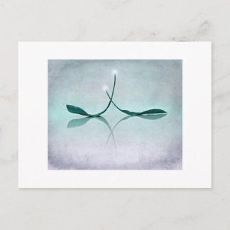 Winterlicht Postkarte