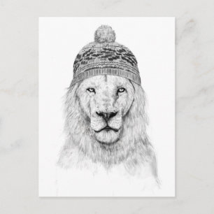 Winterlion (bw. postkarte