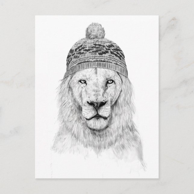 Winterlion (bw. postkarte (Vorderseite)