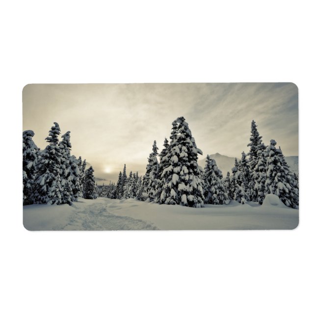 Wintermagie (Vorne)