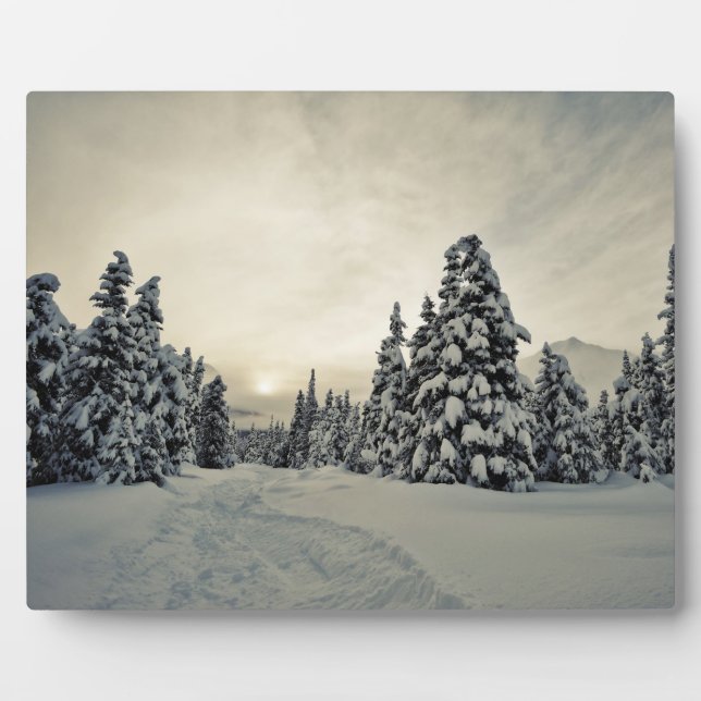 Wintermagie Fotoplatte (Vorderseite)