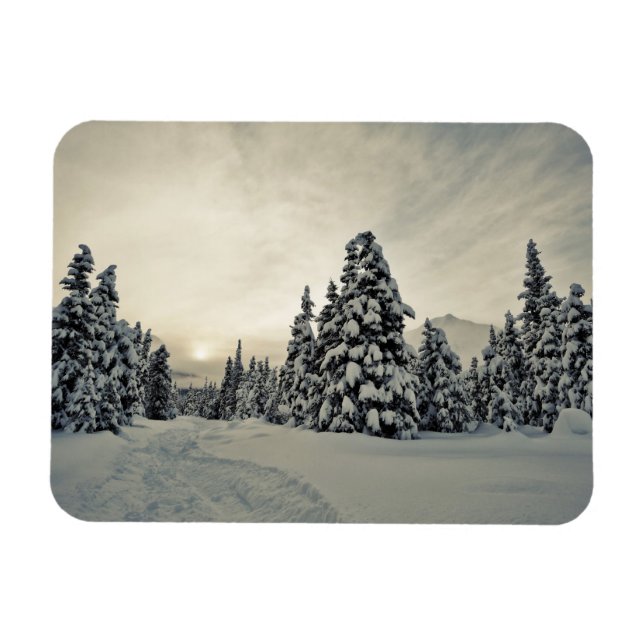 Wintermagie Magnet (Horizontal)