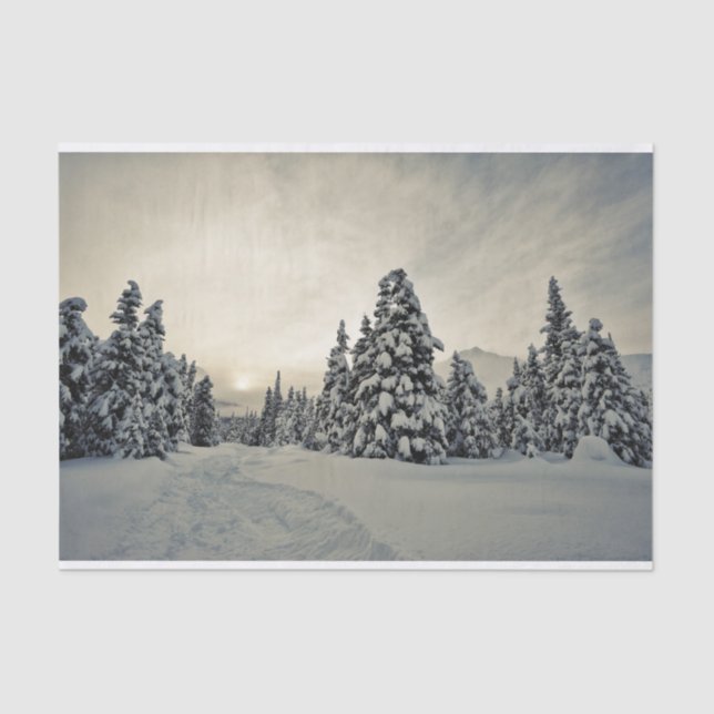 Wintermagie Seidenpapier (Vorderseite)