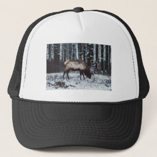 Wintermajestät: Elch in Schnee Trucker Cap Truckerkappe