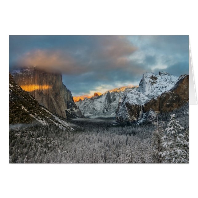 Wintermarke (Vorderseite (Horizontal))