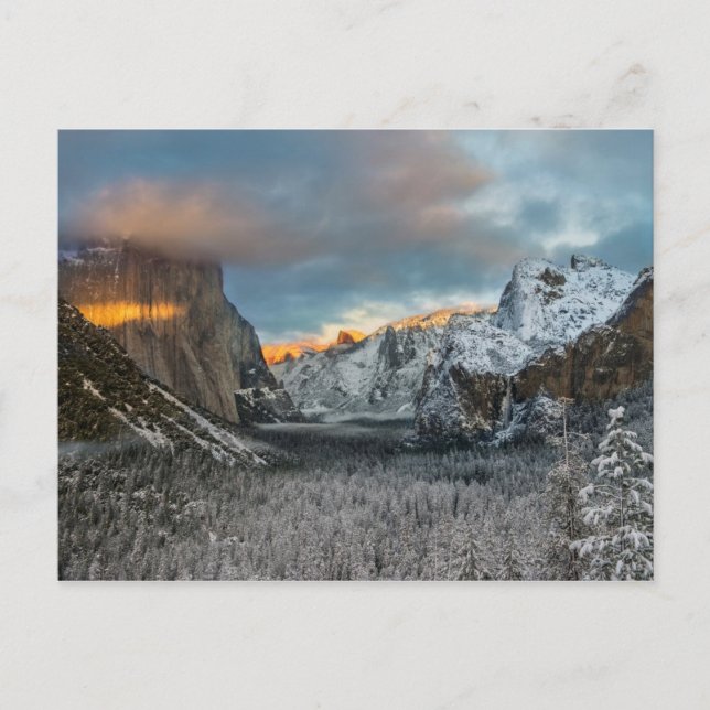 Wintermarke Postkarte (Vorderseite)
