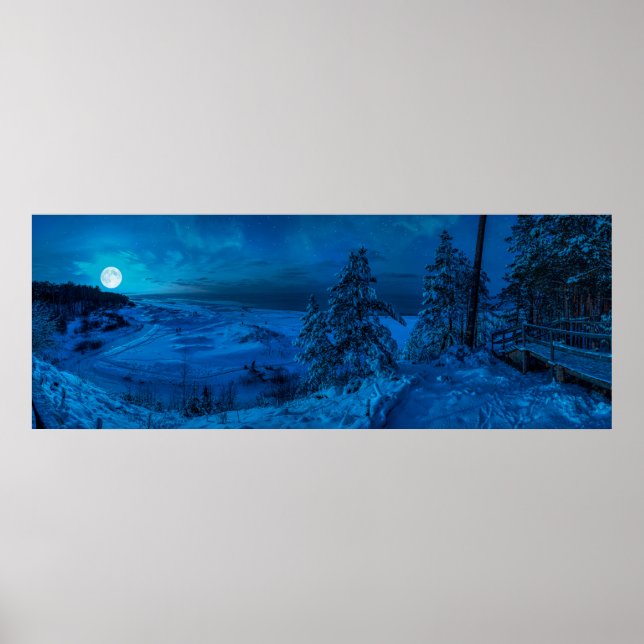 Wintermeerküste im Mondlicht Poster (Vorne)