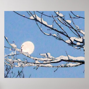 Wintermond Poster