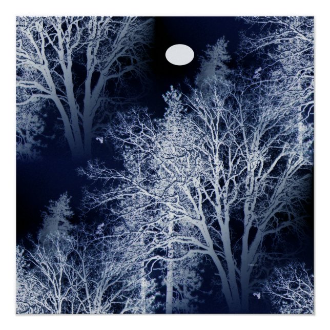 Wintermond... Poster (Vorderseite)