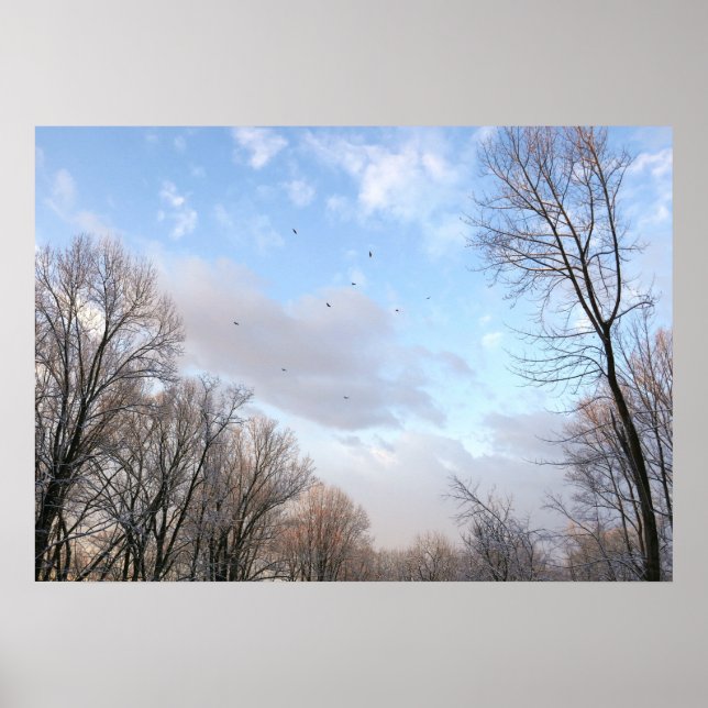 Wintermorgen I Poster (Vorne)