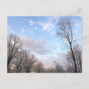 Wintermorgen I Postkarte