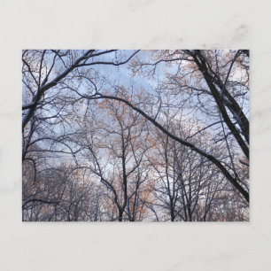 Wintermorgen II Natur Landschaft Postkarte