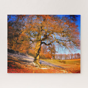 Wintermorgen Puzzle