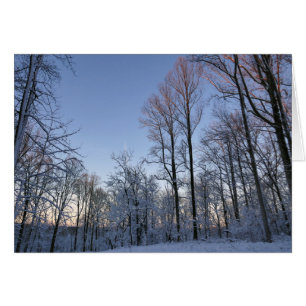 Wintermorgendlicht I