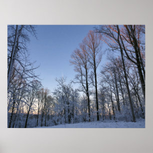 Wintermorgendlicht I Poster
