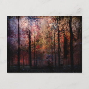 Winternacht Postkarte