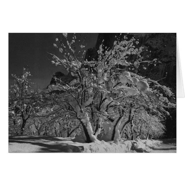 Winternachtszeit (Vorderseite (Horizontal))