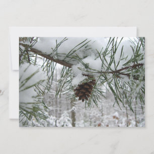 Winternaturfotografie von Snowy Pine Branch