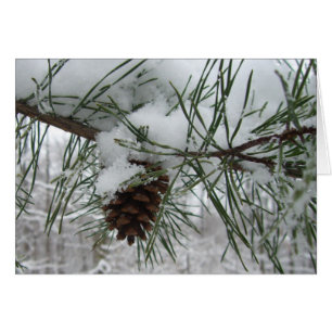 Winternaturfotografie von Snowy Pine Branch