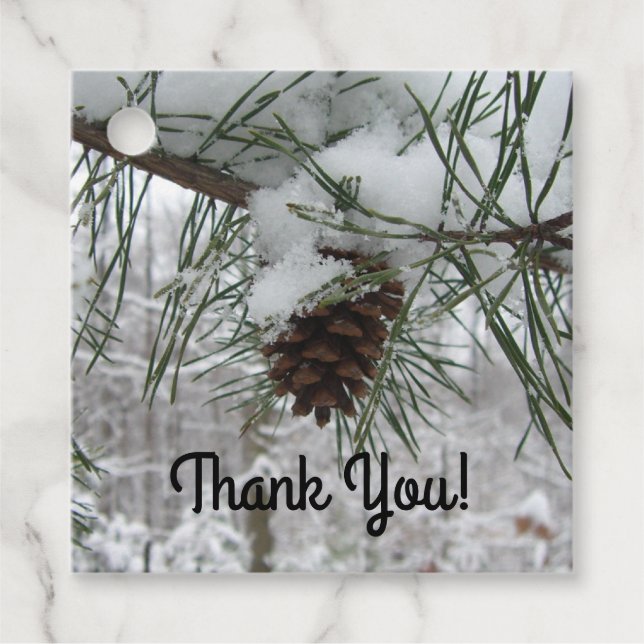 Winternaturfotografie von Snowy Pine Branch Geschenkanhänger (Vorderseite)