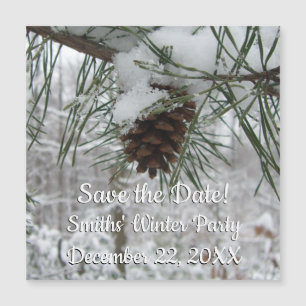 Winternaturfotografie von Snowy Pine Branch Magnetkarte