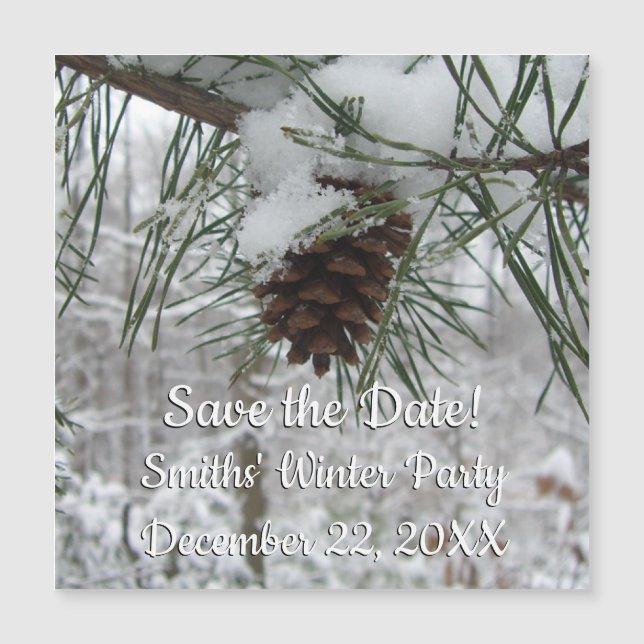 Winternaturfotografie von Snowy Pine Branch Magnetkarte (Vorderseite)