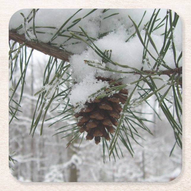 Winternaturfotografie von Snowy Pine Branch Rechteckiger Pappuntersetzer (Vorderseite)