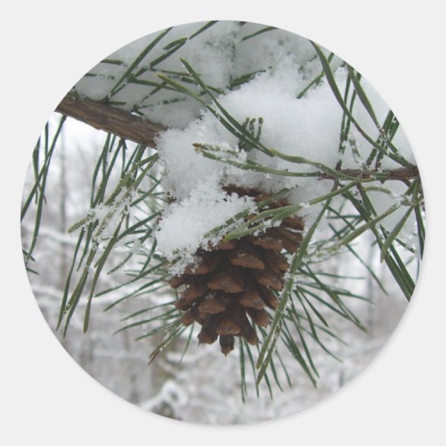 Winternaturfotografie von Snowy Pine Branch Runder Aufkleber (Vorderseite)