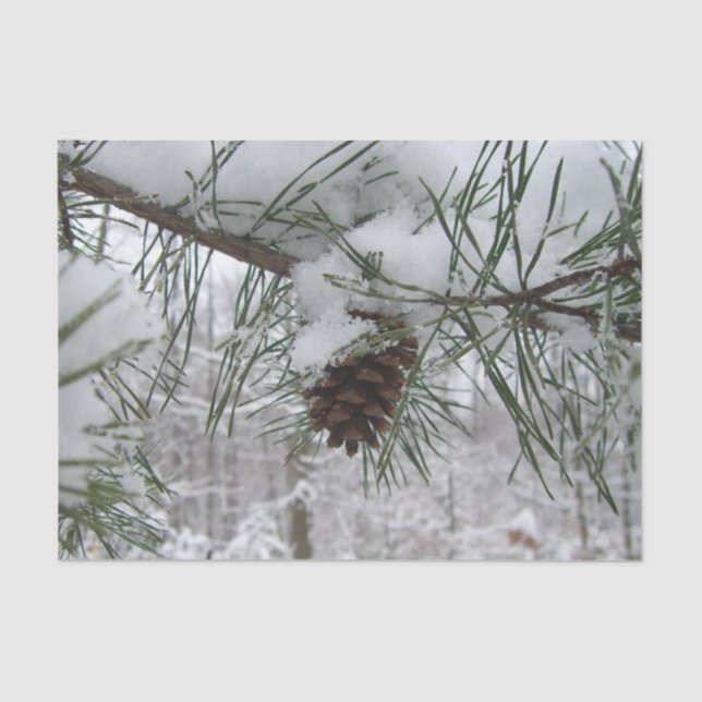 Winternaturfotografie von Snowy Pine Branch Seidenpapier (Vorderseite)
