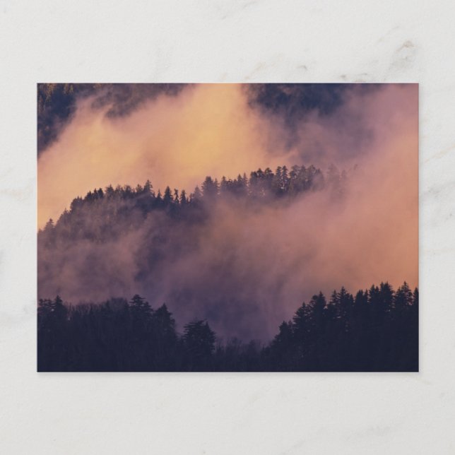 Winternebel im Tal bei Sonnenuntergang von Morton Postkarte (Vorderseite)