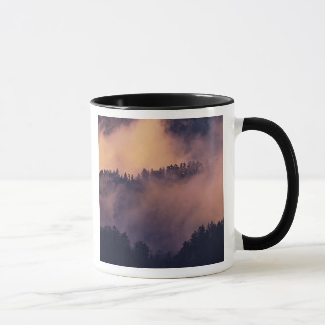 Winternebel im Tal bei Sonnenuntergang von Morton Tasse (Rechts)