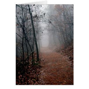 Winternebel - Kein Ende im Sight auf dem Weg Gesch