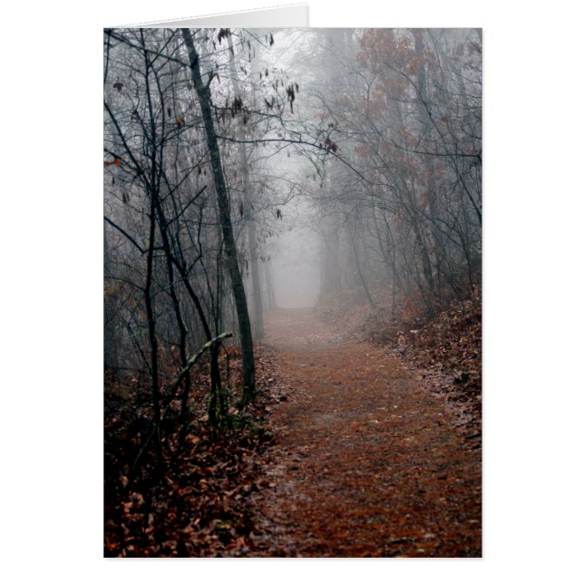 Winternebel - Kein Ende im Sight auf dem Weg Gesch (Vorne)