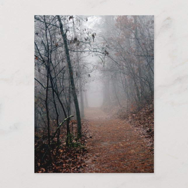 Winternebel - Kein Ende im Sight auf dem Weg Gesch Postkarte (Vorderseite)