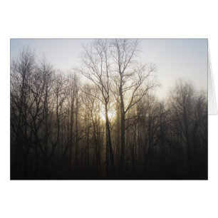 Winternebel Naturfotografie