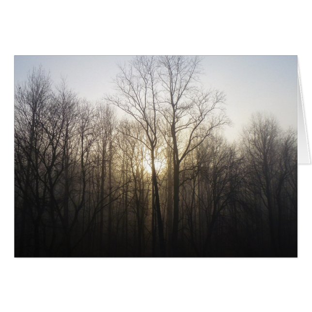 Winternebel Naturfotografie (Vorderseite (Horizontal))