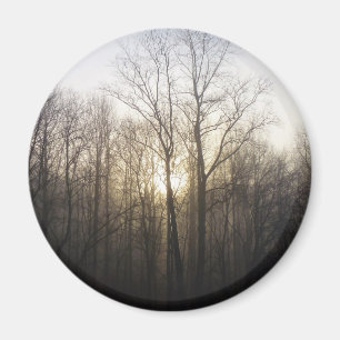 Winternebel Naturfotografie Magnet