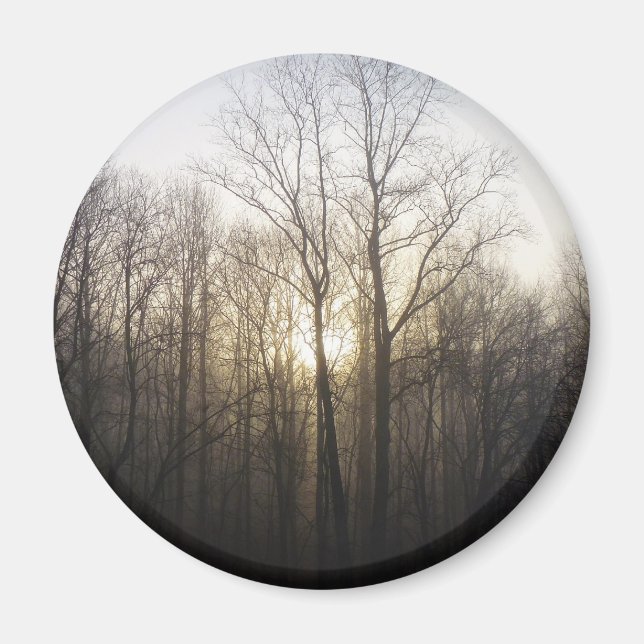 Winternebel Naturfotografie Magnet (Vorne)